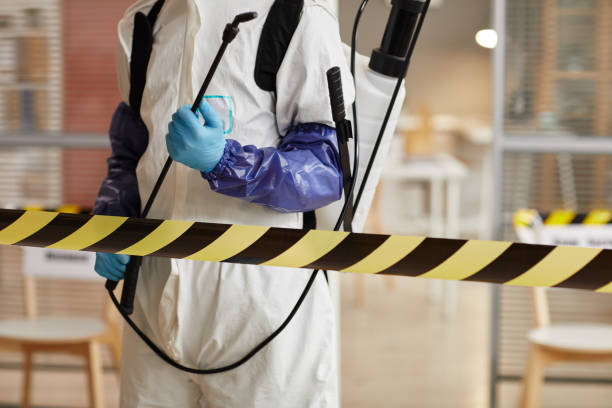 Professional Sewage Cleanup technician working in Bryant, IN